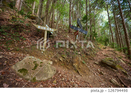 笠形山の登山道 126794498