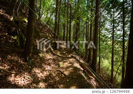 笠形山の登山道 笠形山の登山道 126794499