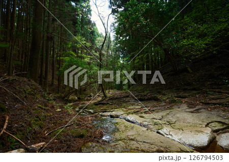 笠形山の渓谷 笠形山の渓谷 126794503