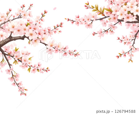 桜の背景素材 桜の背景素材 126794588