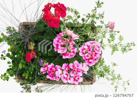 Colorful flower arrangement in wicker basket showcasing vibrant blooms and greenery 126794707