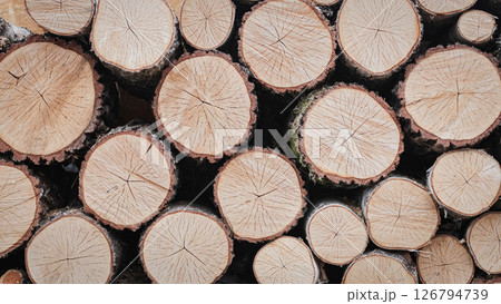 Close up copy space firewood background. 126794739