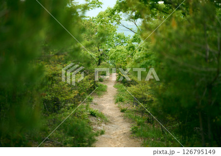 トレイル 126795149