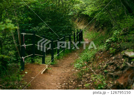 ハイキングコース 126795150
