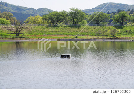田植え前の水を張られた田んぼで水を掻き混ぜながら移動して雑草の成長を抑えるロボットが稼働している光景 田植え前の水を張られた田んぼで水を掻き混ぜながら移動して雑草の成長を抑えるロボットが稼働している光景 126795306