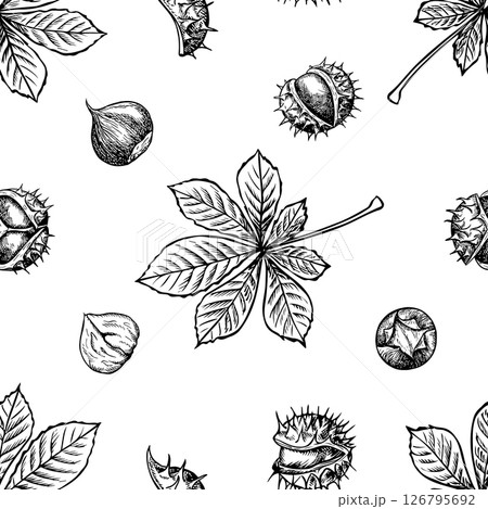 Seamless pattern with chestnuts and chestnut tree leaves. Vector graphics. Black and white hand-drawn illustration. On a white background. Great for textiles and packaging, postcards and labels. Seamless pattern with chestnuts and chestnut tree leaves. Vector graphics. Black and white hand-drawn illustration. On a white background. Great for textiles and packaging, postcards and labels. 126795692