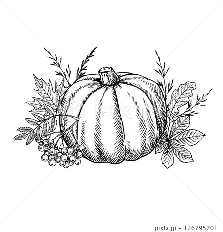Autumn composition with pumpkin and plant elements. Vector graphics. Black and white hand-drawn illustration. For greeting and invitation cards, banners and posters, for stickers and packaging, labels 126795701