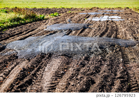 Puddles reflecting sky on muddy field road creating tire tracks Puddles reflecting sky on muddy field road creating tire tracks 126795923