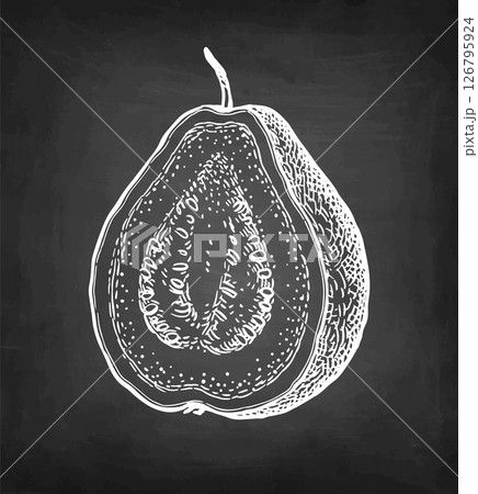 Sliced guava chalk sketch. Sliced guava chalk sketch. 126795924