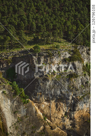 Sheep Grazing Along a Cliffside in a Dense Forest Landscape 126796108