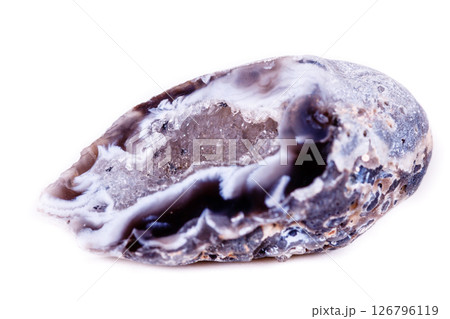 Macro mineral stone agate bud on white background Macro mineral stone agate bud on white background 126796119