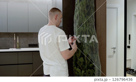 Male carefully unwrapping pine tree from protective netting, positioning freshly purchased evergreen inside contemporary living space with holiday anticipation Male carefully unwrapping pine tree from protective netting, positioning freshly purchased evergreen inside contemporary living space with holiday anticipation 126796436