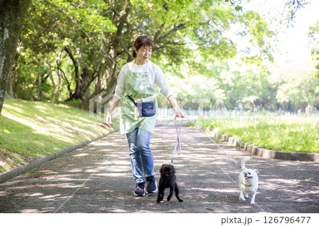 犬を散歩させる日本人女性 126796477