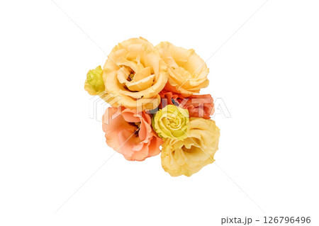 白バックのトルコキキョウの花束 126796496