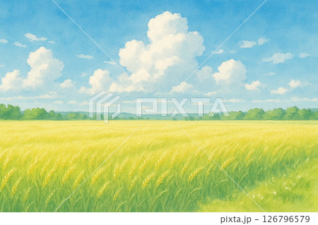 青空と黄金色の田園風景(水彩イラスト) 青空と黄金色の田園風景(水彩イラスト) 126796579