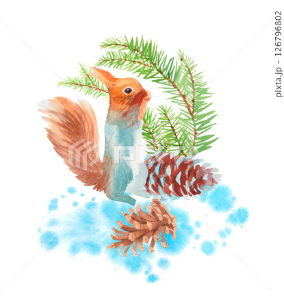 Squirrel, fir branches and cones. Watercolor handmade elements. For fabric, wallpaper, packing paper, greeting cards, design, decoration and illustration. 126796802
