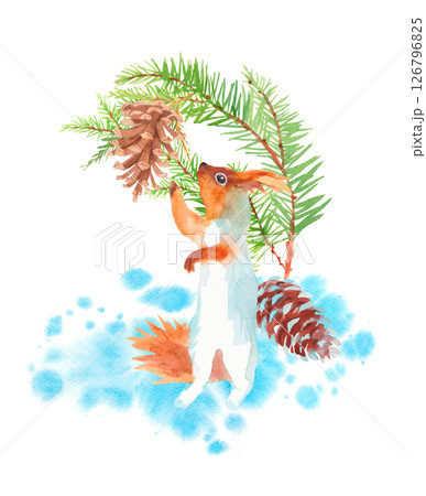 Squirrel, fir branches and cones. Watercolor handmade elements. For fabric, wallpaper, packing paper, greeting cards, design, decoration and illustration. Squirrel, fir branches and cones. Watercolor handmade elements. For fabric, wallpaper, packing paper, greeting cards, design, decoration and illustration. 126796825