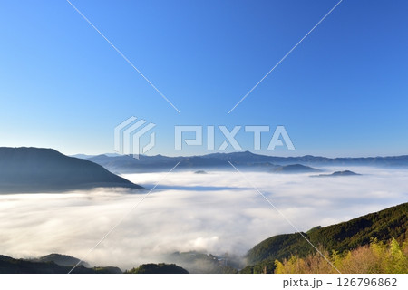 雲海展望公園からの大洲盆地の雲海 126796862