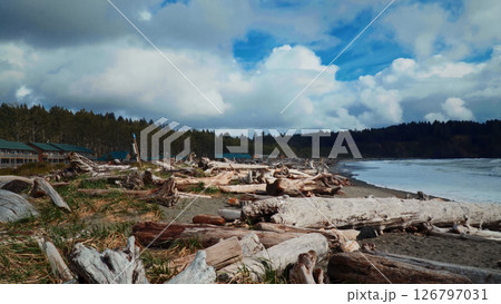Driftwood covering First Beach in La Push, Washington 126797031