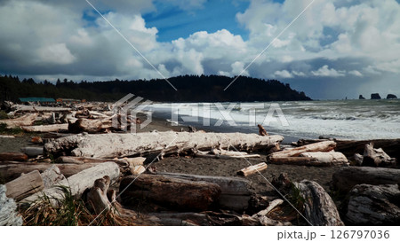 Driftwood covering First Beach in La Push, Washington Driftwood covering First Beach in La Push, Washington 126797036