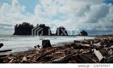 Driftwood covering First Beach in La Push, Washington with dramatic sky and sea stacks Driftwood covering First Beach in La Push, Washington with dramatic sky and sea stacks 126797057