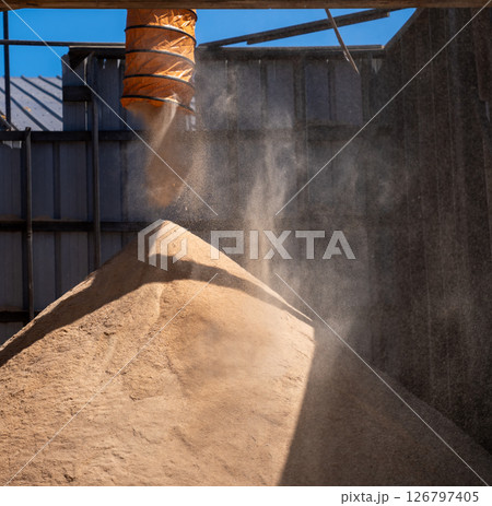 aggregate sawdust in a loose pile with wind blown particulate  126797405