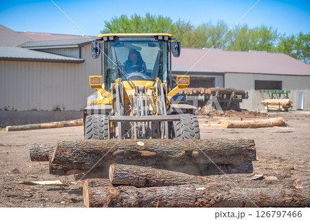 Heavy equipment front loader being used to move logsat a lumber mill 126797466
