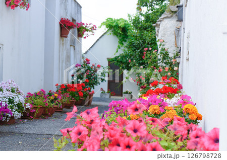 鮮やかな花が道を彩るヨーロッパの観光地 126798728