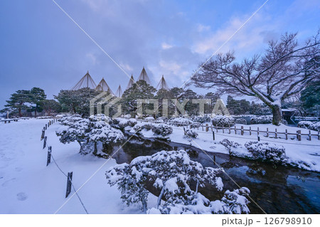 雪景色が美しい兼六園 126798910