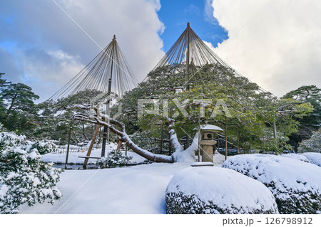 雪景色が美しい兼六園 雪景色が美しい兼六園 126798912