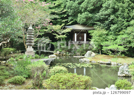 夏の毘沙門堂 庭園 晩翠園(京都市山科区) 夏の毘沙門堂 庭園 晩翠園(京都市山科区) 126799097
