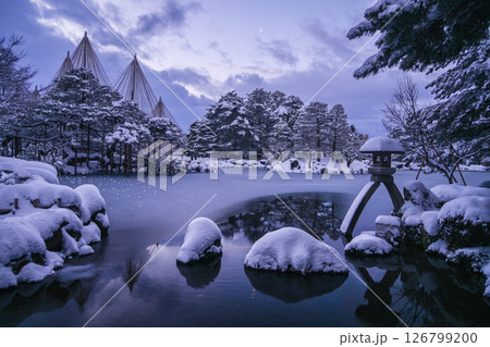 雪景色が美しい早朝の兼六園 126799200