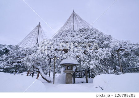 雪景色が美しい早朝の兼六園 126799205