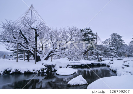 雪景色が美しい早朝の兼六園 126799207