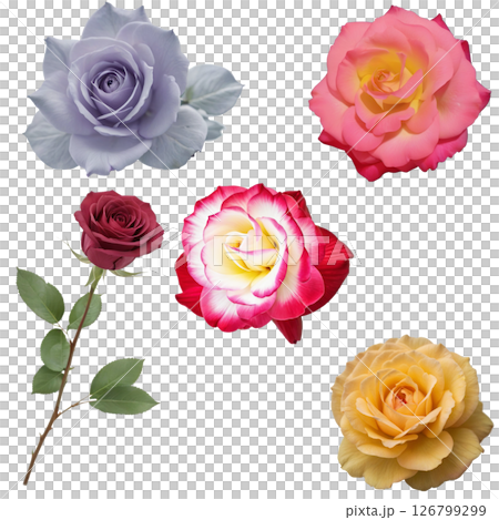 バラの一輪挿しと4種類の花びらの透過PNG素材 126799299