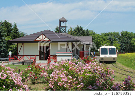 リリートレイン　札幌花名所　百合が原公園　フラワーパーク 126799355