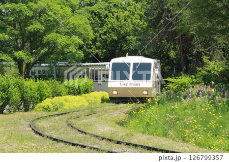 リリートレイン　札幌花名所　百合が原公園　フラワーパーク 126799357