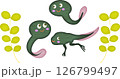 すくすくおたまじゃくし すくすくおたまじゃくし 126799497