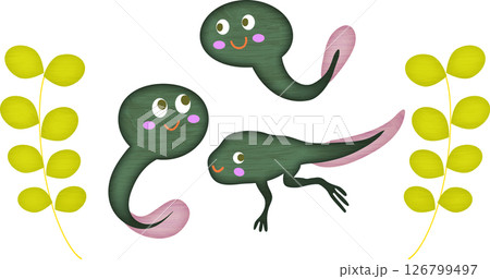 すくすくおたまじゃくし 126799497
