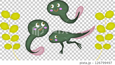 すくすくおたまじゃくし 126799497