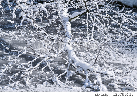 卯辰山の雪景色 126799516