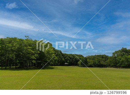北総花の丘公園　緑の芝生と広い公園 126799596