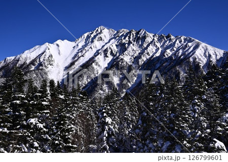 雪景色の西穂高岳 雪景色の西穂高岳 126799601