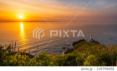角田岬の夕暮れ 126799898