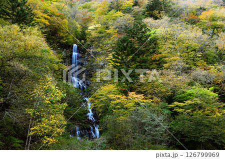 紅葉した森と蛇王の滝 日光市の自然 紅葉した森と蛇王の滝 日光市の自然 126799969