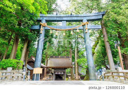 初夏の諏訪大社 上社 本宮　長野県諏訪市 126800110