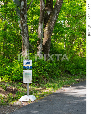 山梨県北杜市の新緑の森に佇むローカルなデマンドバスのバス停 126800477