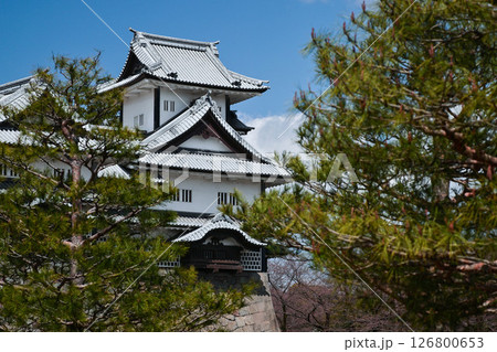 金沢城公園の春景色 金沢城公園の春景色 126800653