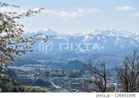 残雪の山を背景に桜咲く金沢 126801006