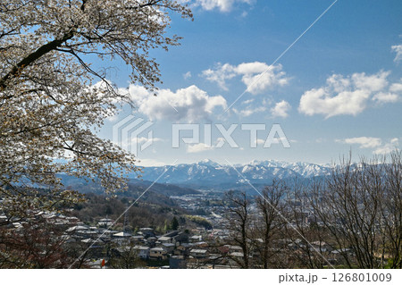 残雪の山を背景に桜咲く金沢 126801009